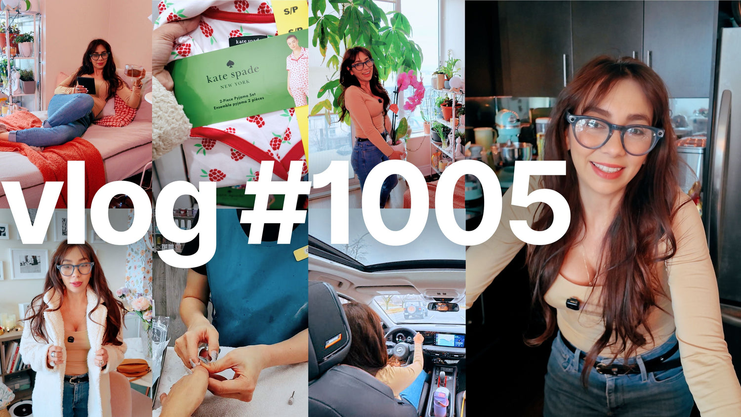 Vlog 1005