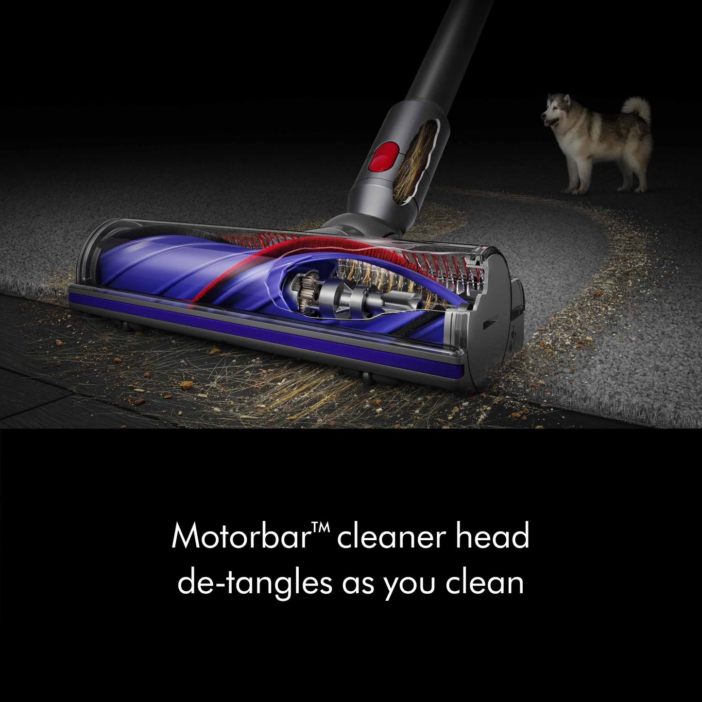 Dyson Aspirador de pó sem fio V8